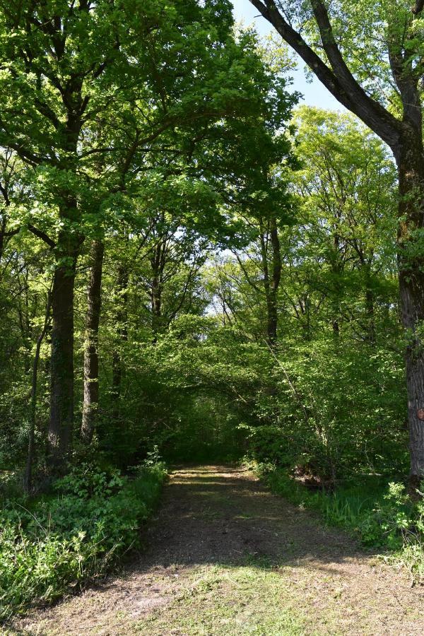 Jachthuis Au Bois Du Gheer Bagian luar foto